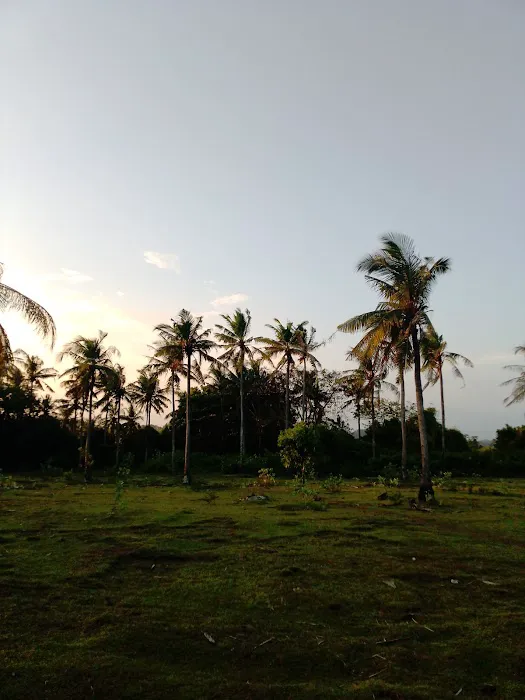 LAND CONTRACT FULL SUNSET 3