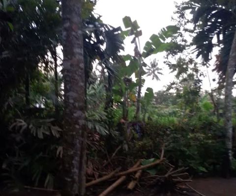 LAND CONTRACT FULL SUNSET