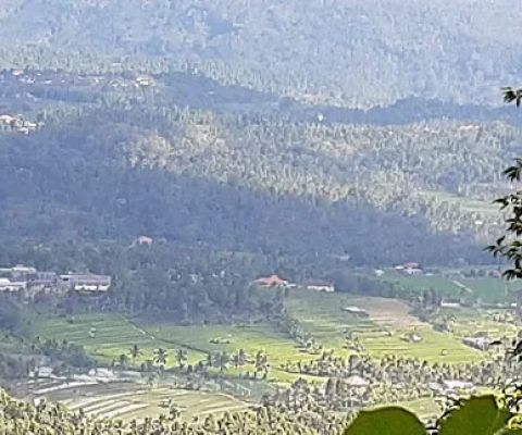 Pokdarwis Telaga Sari