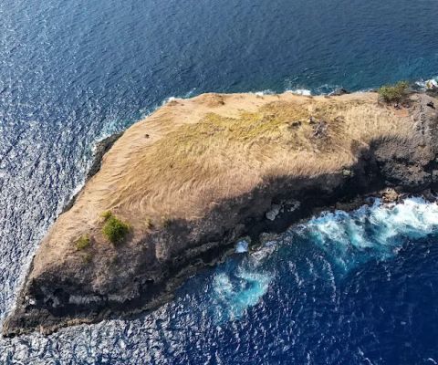 Pulau Paus