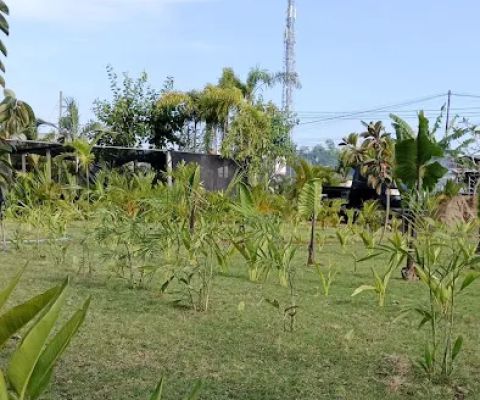 Alamanda Jaya Landscape