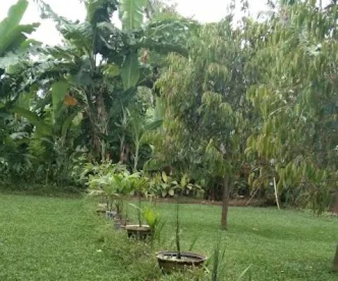 suten garden