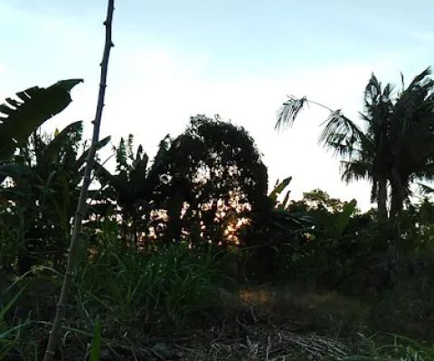 Abian jhon tengahe