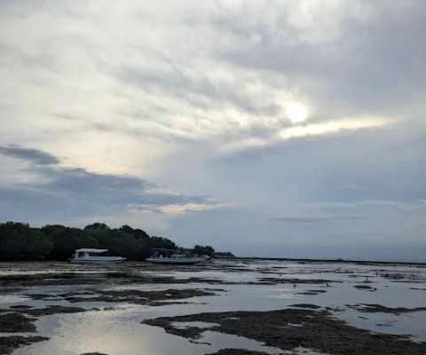 Seaweed farms