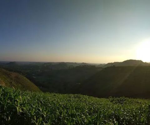 Bukit LJR