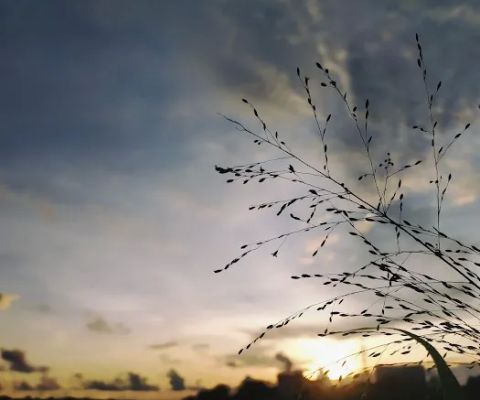 Dermaga Batu Cinta