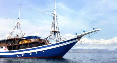 Exploring Phinisi Charm in the Indonesian Archipelago