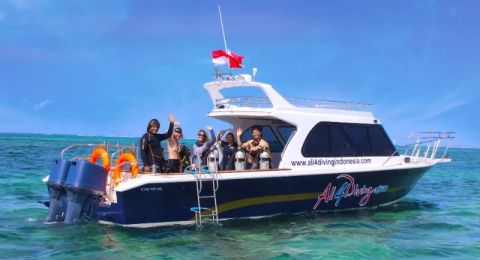Step Aboard Diving With Mantas in Bali