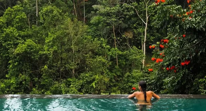 Your Dream Journey to Eco Cruises in Indonesia – Sustainable Travel Awaits