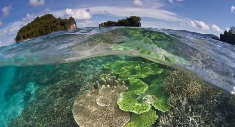 What Makes Private Cruises in Remote Islands of Indonesia Special