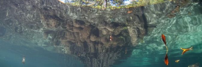 Sailing Through Underwater Worlds in Raja Ampat: A Voyage into Marine Paradise