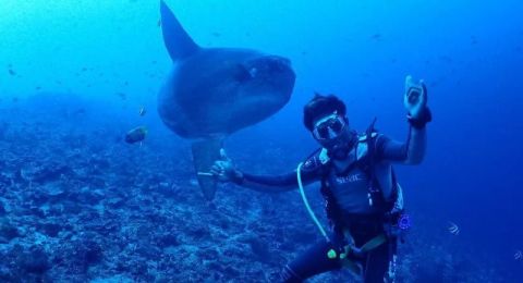 Once-in-a-Lifetime Marine Wildlife in Bali: Mantas, Mola Mola & Hidden Gems
