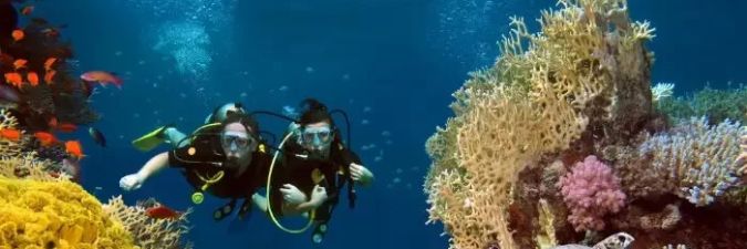 Inside Diving Adventures in East Indonesia: Top Sites and Marine Life